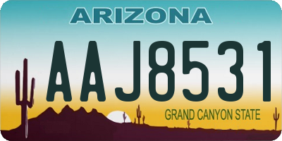 AZ license plate AAJ8531