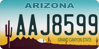 AZ license plate AAJ8599