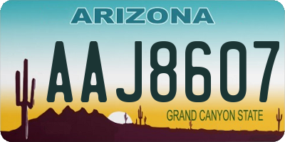 AZ license plate AAJ8607