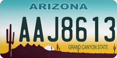 AZ license plate AAJ8613