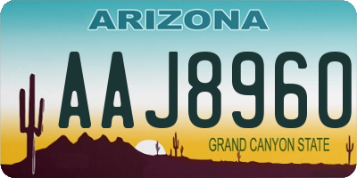 AZ license plate AAJ8960