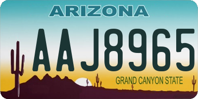 AZ license plate AAJ8965