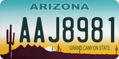 AZ license plate AAJ8981
