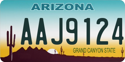 AZ license plate AAJ9124