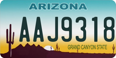 AZ license plate AAJ9318