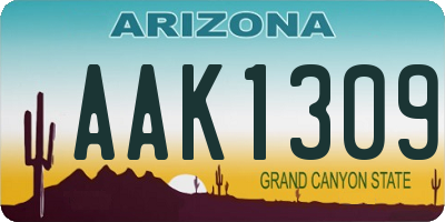 AZ license plate AAK1309