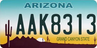 AZ license plate AAK8313