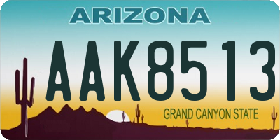 AZ license plate AAK8513