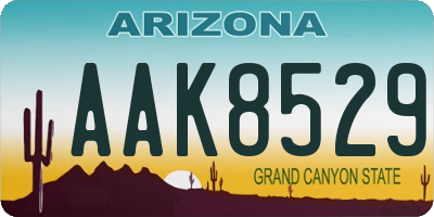 AZ license plate AAK8529