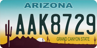 AZ license plate AAK8729