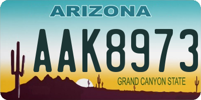 AZ license plate AAK8973
