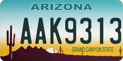 AZ license plate AAK9313