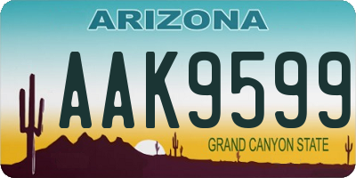 AZ license plate AAK9599