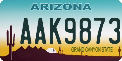 AZ license plate AAK9873