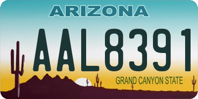 AZ license plate AAL8391