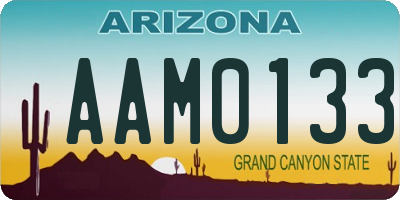 AZ license plate AAM0133