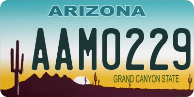 AZ license plate AAM0229