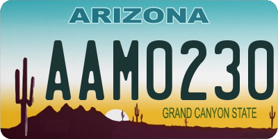 AZ license plate AAM0230