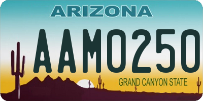 AZ license plate AAM0250