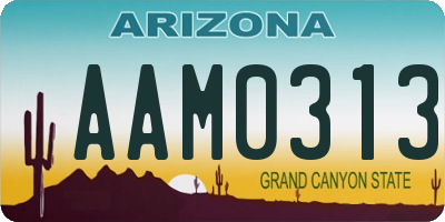 AZ license plate AAM0313