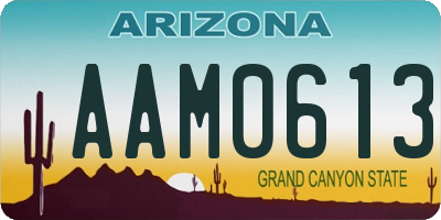 AZ license plate AAM0613