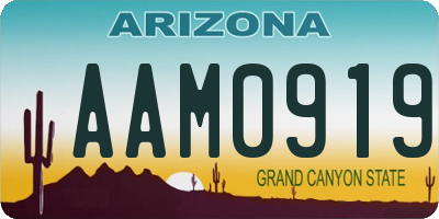 AZ license plate AAM0919