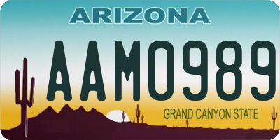 AZ license plate AAM0989