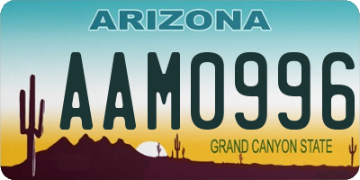 AZ license plate AAM0996
