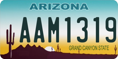 AZ license plate AAM1319