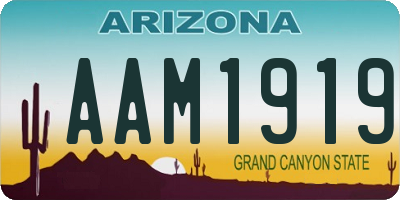 AZ license plate AAM1919