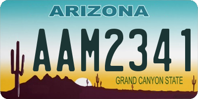 AZ license plate AAM2341