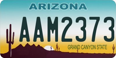 AZ license plate AAM2373
