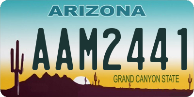 AZ license plate AAM2441