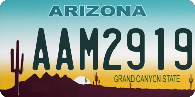 AZ license plate AAM2919