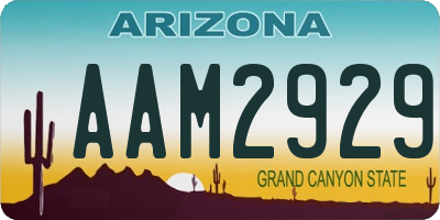AZ license plate AAM2929