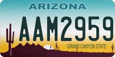 AZ license plate AAM2959