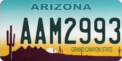 AZ license plate AAM2993