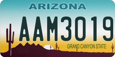 AZ license plate AAM3019