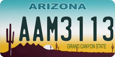 AZ license plate AAM3113