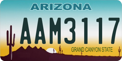 AZ license plate AAM3117