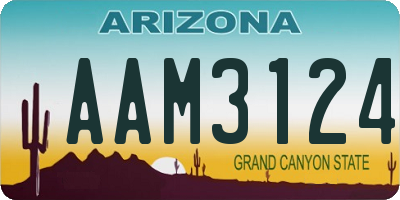 AZ license plate AAM3124