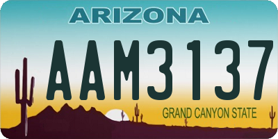 AZ license plate AAM3137