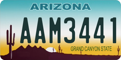 AZ license plate AAM3441