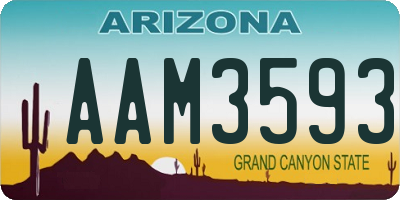 AZ license plate AAM3593