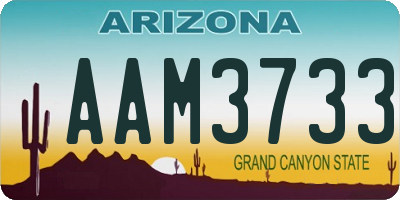 AZ license plate AAM3733