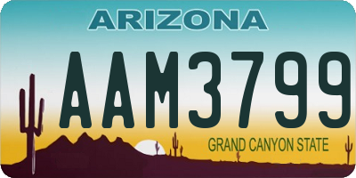 AZ license plate AAM3799