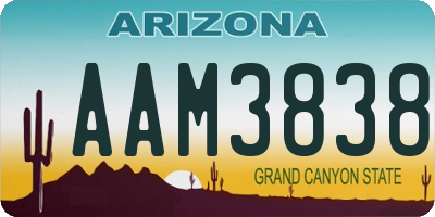 AZ license plate AAM3838