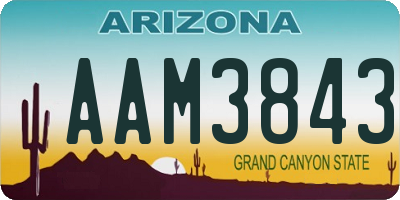 AZ license plate AAM3843