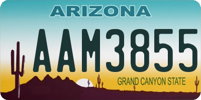 AZ license plate AAM3855