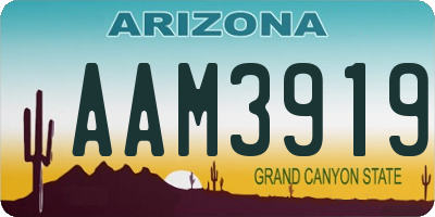 AZ license plate AAM3919